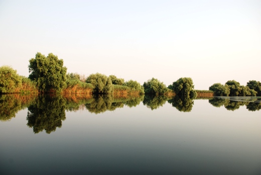Cazare Delta Dunarii - Imagine din Delta Dunarii 