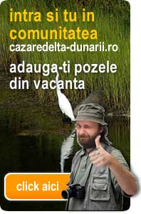 Cazare Delta Dunarii - Poze