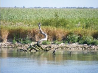 Cazare Delta Dunarii - Pensiunea Boboc